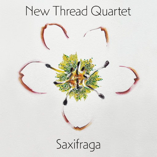 初中生露大腿胸
